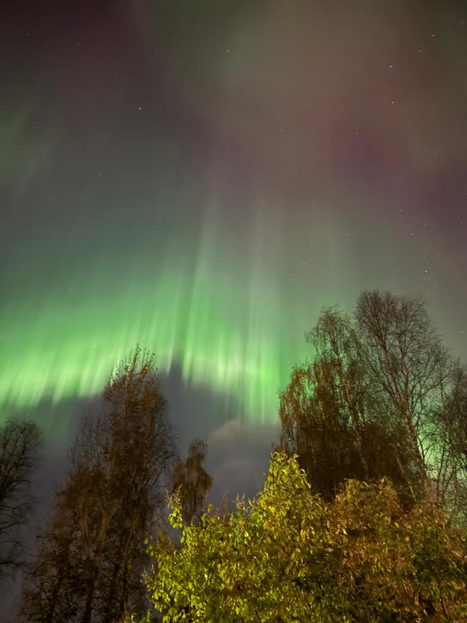 Nordic Katajaranta * Rovaniemi